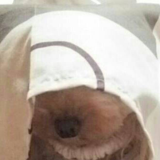 Fb970da9 8397 421e afe8 161bcaadda2d 1540645958773