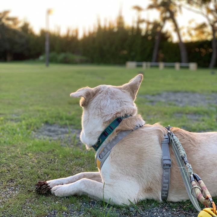 Fb9732b7 a08b 490d a01a 7fdd6b42fe52 1556360835888