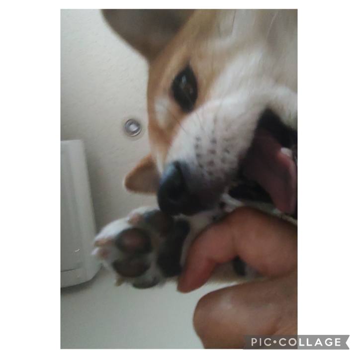 Fb97484c b080 4449 98f7 fd41f3007891 1716972161889