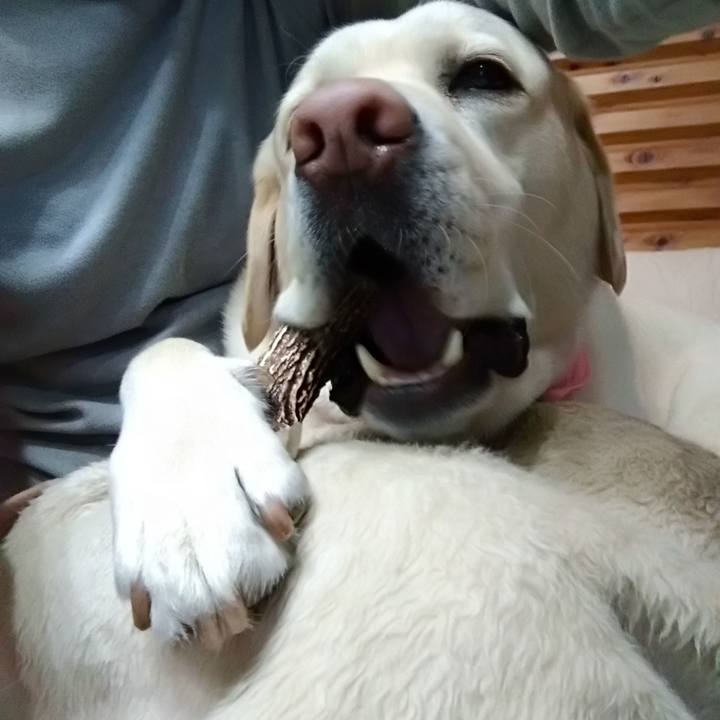 Fb975c21 c9f8 4a21 8d73 e385e0394083 1584357328203