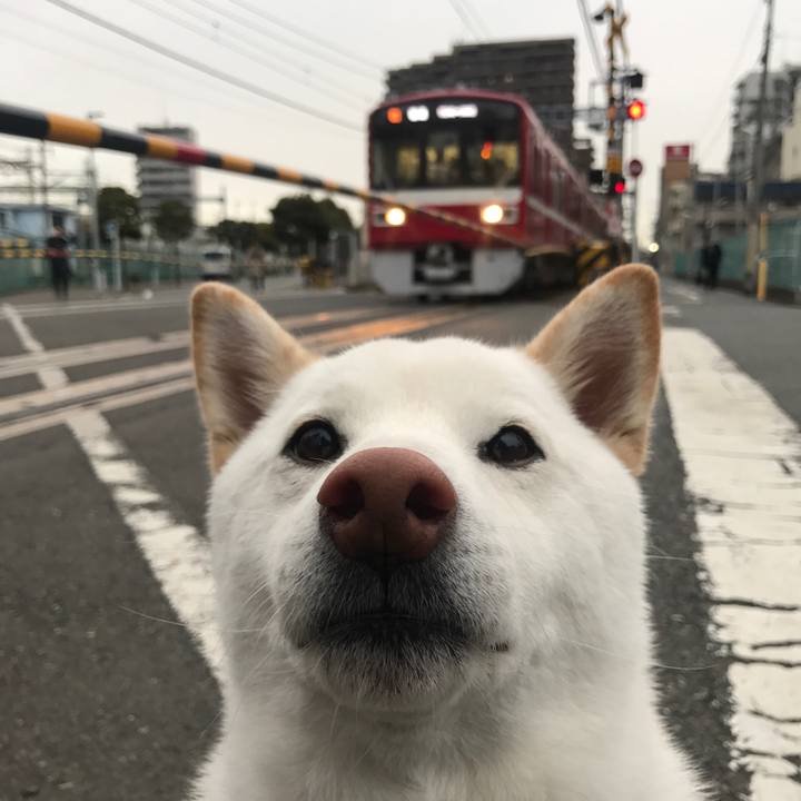 Fb978b5e 9f16 4bf3 93da 923f1a9e035d 1516578314740