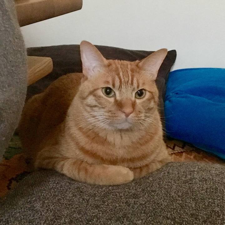 Fb978e69 7ccf 4c1c 9b94 7a81f11c0510 1519984615285