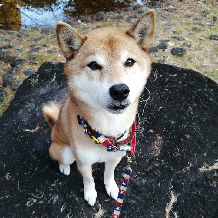 Fb97d384 8c5b 48d9 924d f6a27c9752d0 1673164548734