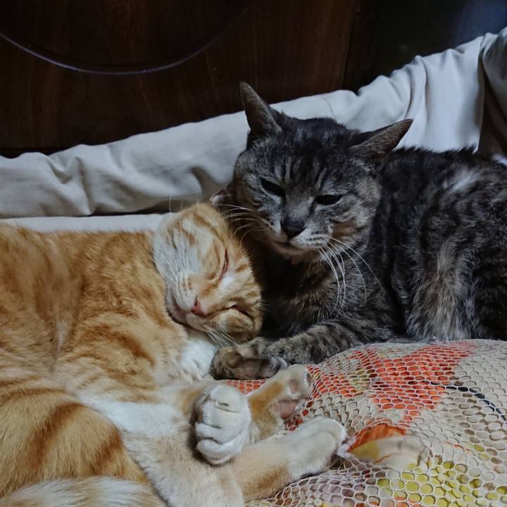 Fb980980 c564 49a8 92d5 f93c7568eced 1588509480427