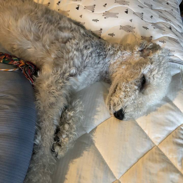 Fb983ceb 42db 441e 8eb7 aca72c453dd6 1593847835267