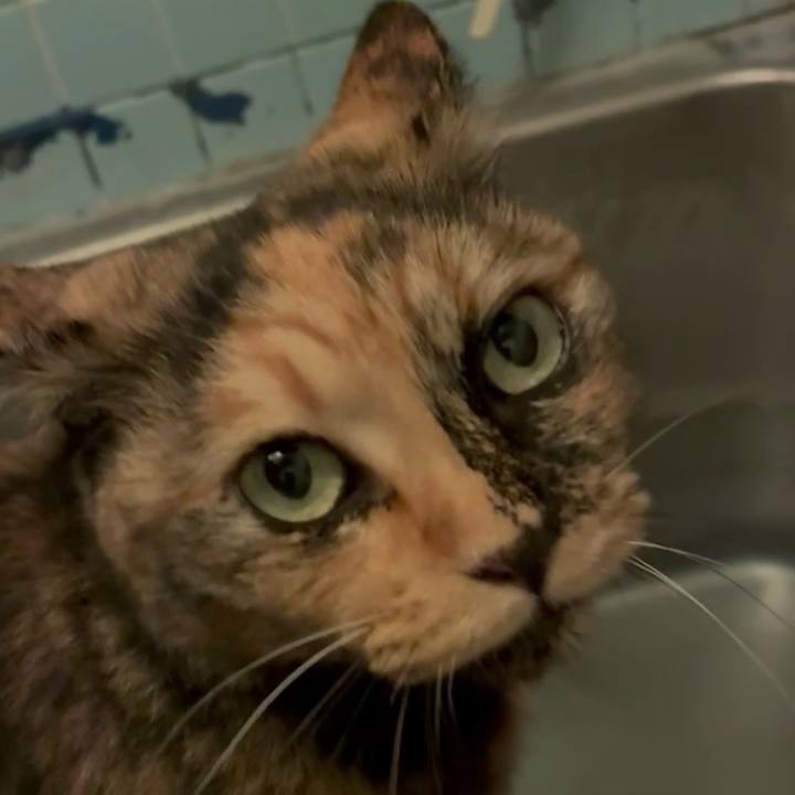 Fb986b2e 9573 4ff5 a19c 649828e9417f 1760818787415