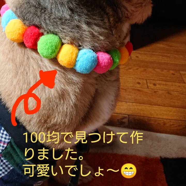 Fb987737 484e 4c90 870f d9bbd16b2893 1548671085199