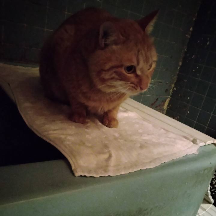 Fb98bd80 5cdd 4347 b33a 4aa39f74b92b 1670145557228