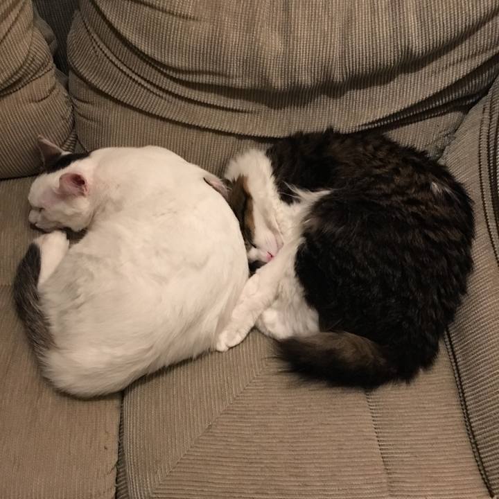 Fb98bda1 903b 4bc8 a498 fac4888c1621 1511065093669