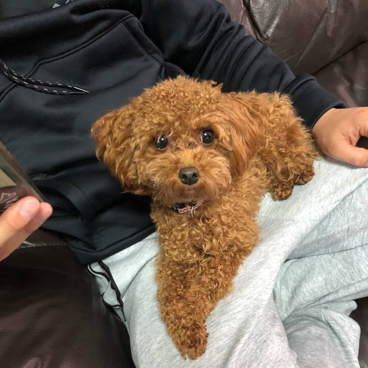 Fb98c22e 69f0 41b5 9e1e f225e6e0f422 1511413214436