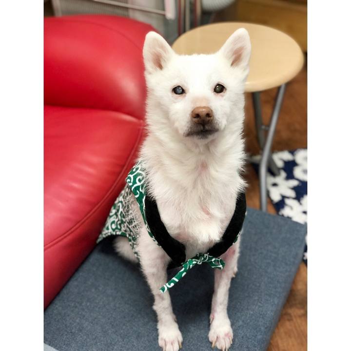 Fb98e0cf 60fd 4a8b a398 c99ea2ae021d 1609485876656