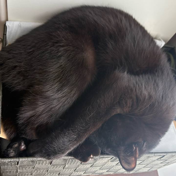 Fb98fa88 c5cb 48c5 bdec d19e6cc452a4 1773273474093