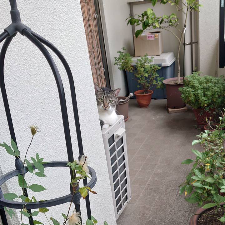 Fb998070 3055 4ba6 8064 8badd9c8c51f 1633995550199