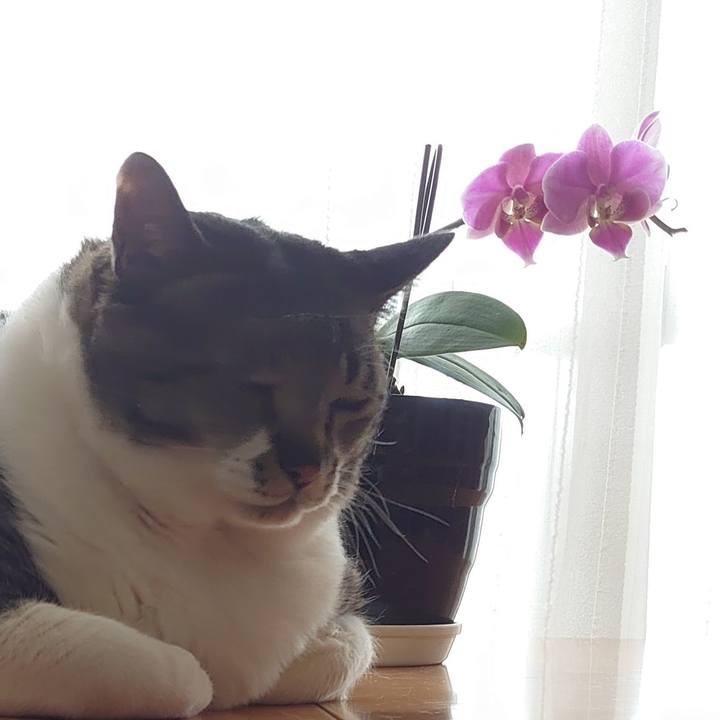 Fb99991e 084d 41f9 9f51 249c6a46aace 1587214025469