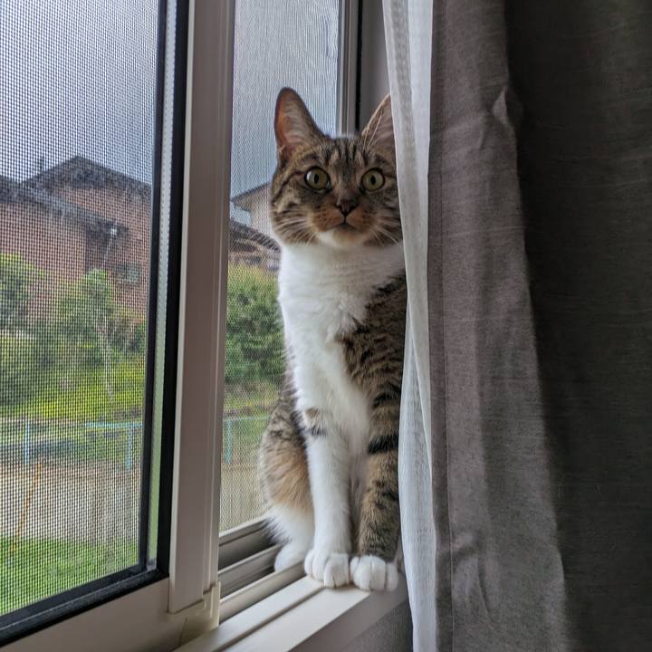 Fb99ccd5 1adc 4d24 a3c7 454b2fa84b39 1687739341818