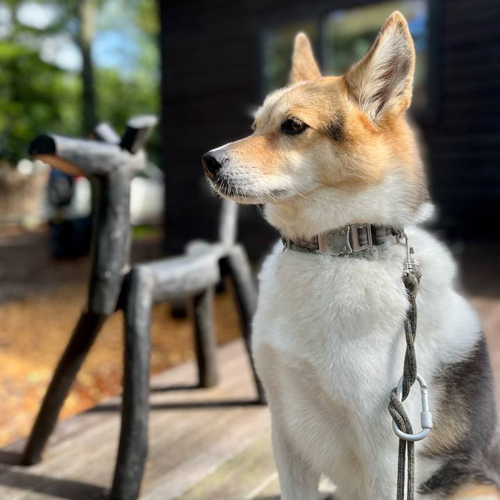 Fb9a20cb 15e0 467b 9607 567b681ab3bf 1758414135685