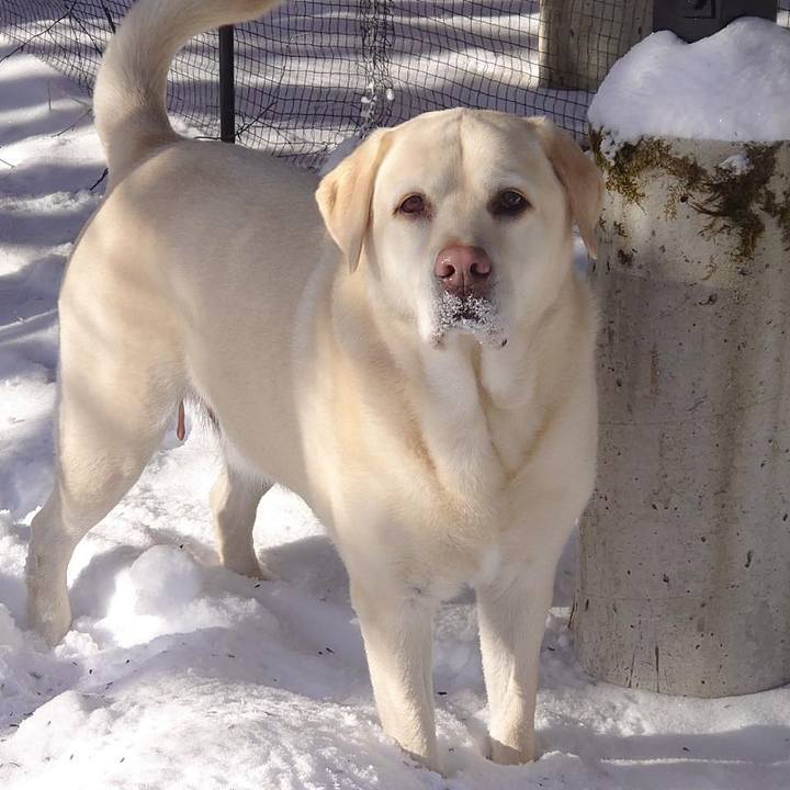 Fb9a29fd 8807 402e b2e0 6ffdd253000e 1707268884293