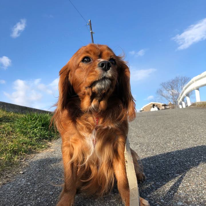 Fb9a3513 d183 4ecd b67d fb06c2b1c02f 1579309963143