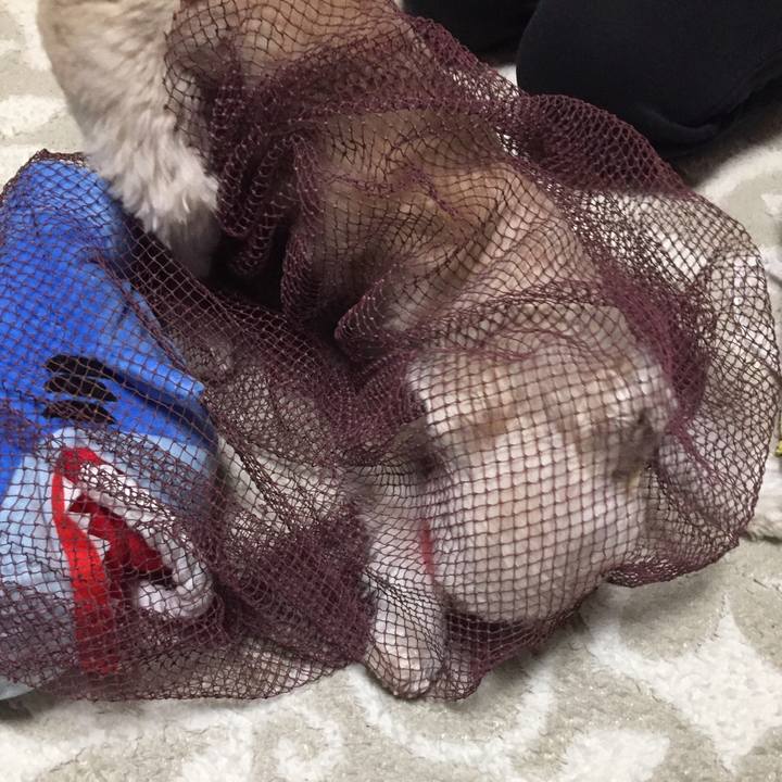 Fb9a6c27 7e1a 4cd9 9154 d370cd39e726 1550828673569