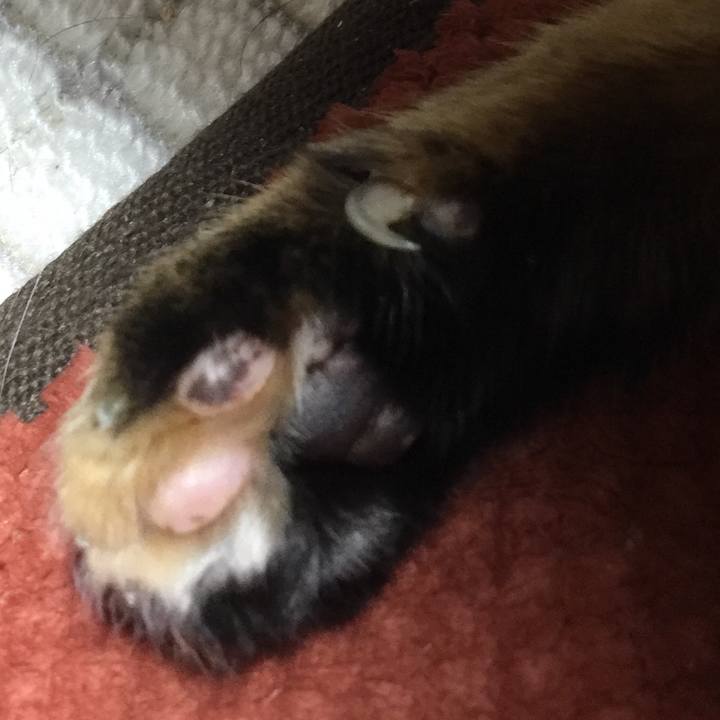 Fb9a73a4 e0cf 40c5 a74c 26a8de6f7cf5 1515500000255