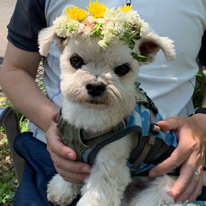 Fb9ab39b 7a68 4394 a723 c1790465875b 1651645359737