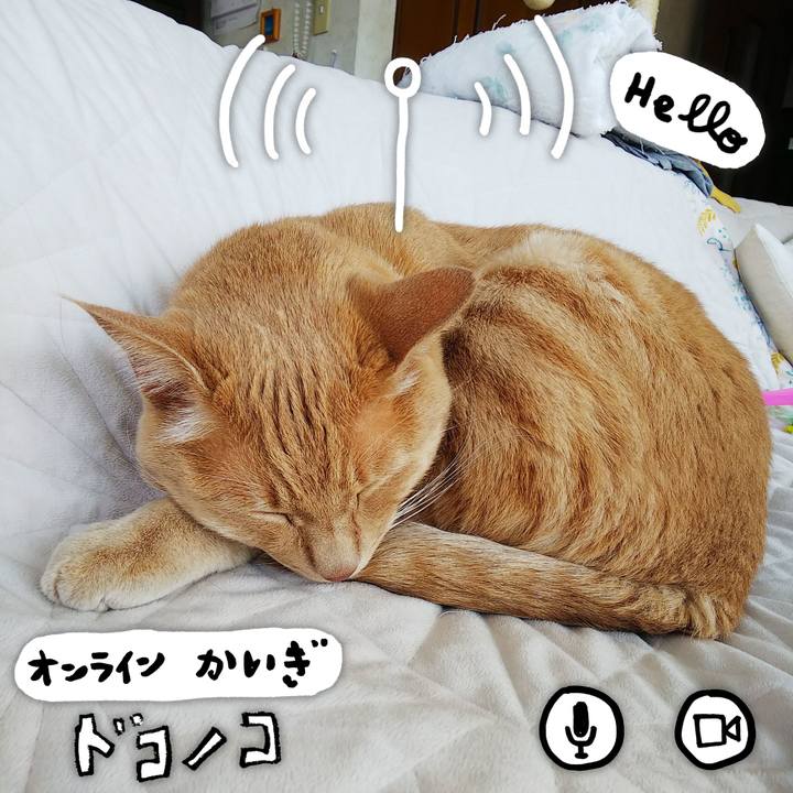 Fb9aeb18 dfe7 42f8 b9ee 2e81b1d270db 1590719682030