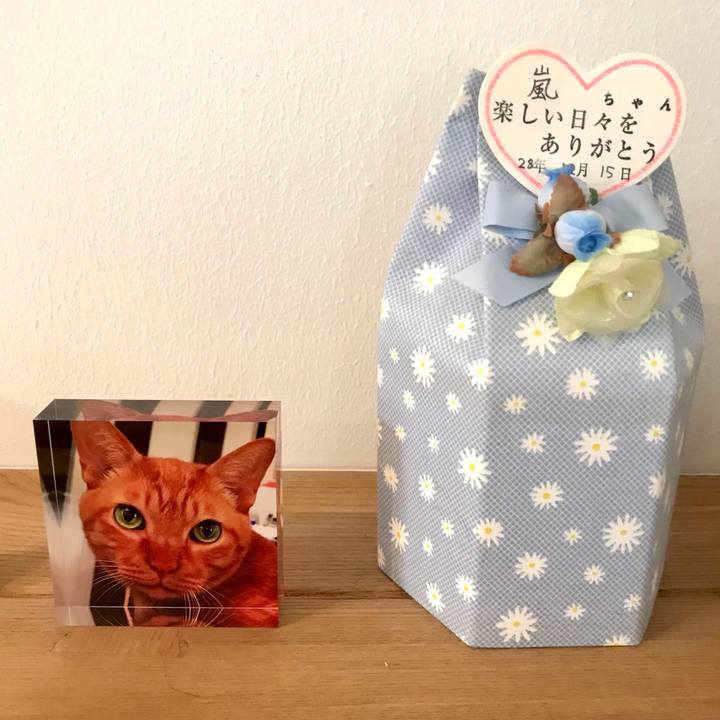 Fb9af3f4 cefa 4ebe ac93 1d7aed648bef 1629079763035