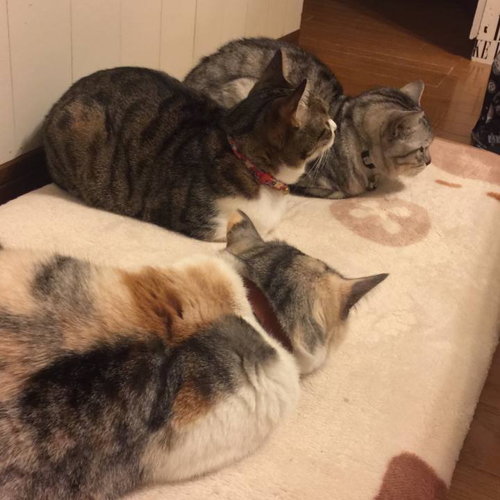 Fb9afc57 5462 419a 97ac 92bca2dc61c2 1555493621841