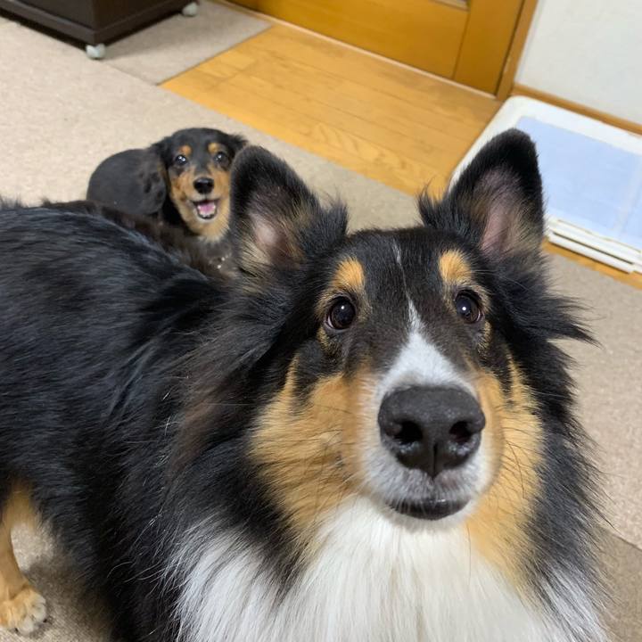 Fb9b214c 4806 4fdc 8912 141f2f4c98e7 1573473294437