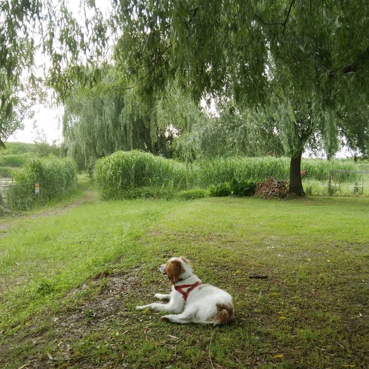 Fb9b317a e748 4f1b b496 6a1122c2697b 1528360915386