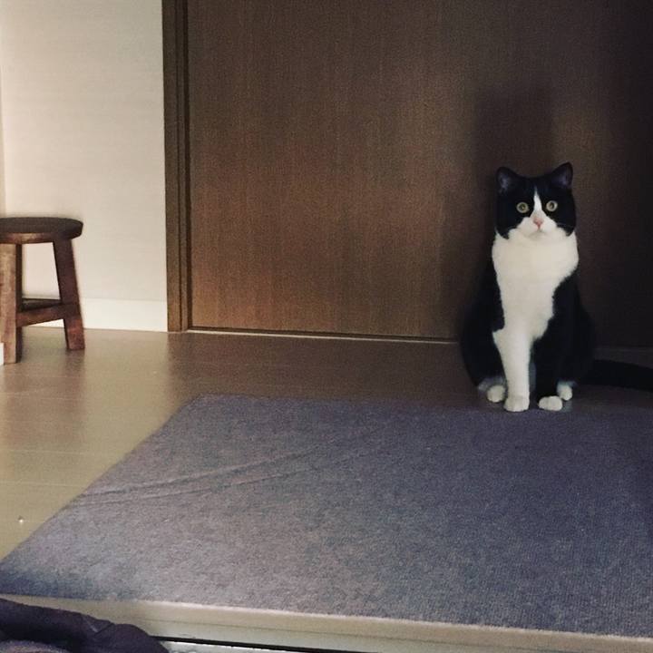 Fb9b431f 8dad 4051 9efe 68b219f1b097 1552122245537