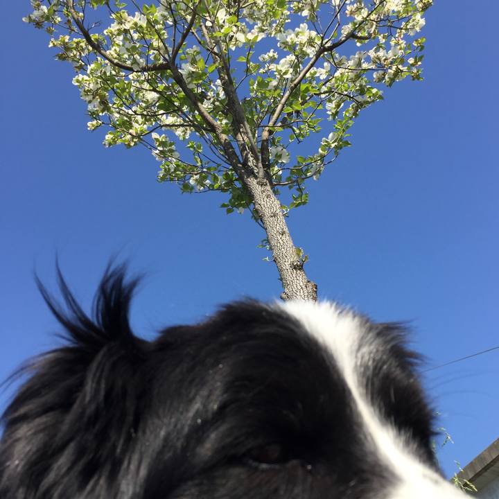 Fb9bb026 48e6 4abe 8d78 1022636833bb 1555808609746