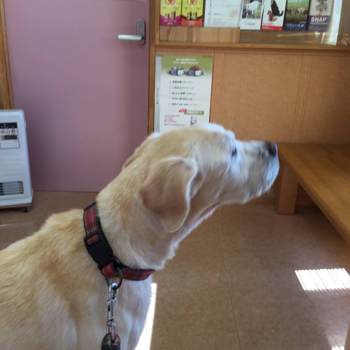 Fb9bd8c4 e420 492d 984d c17e063aa9ca 1510029050393