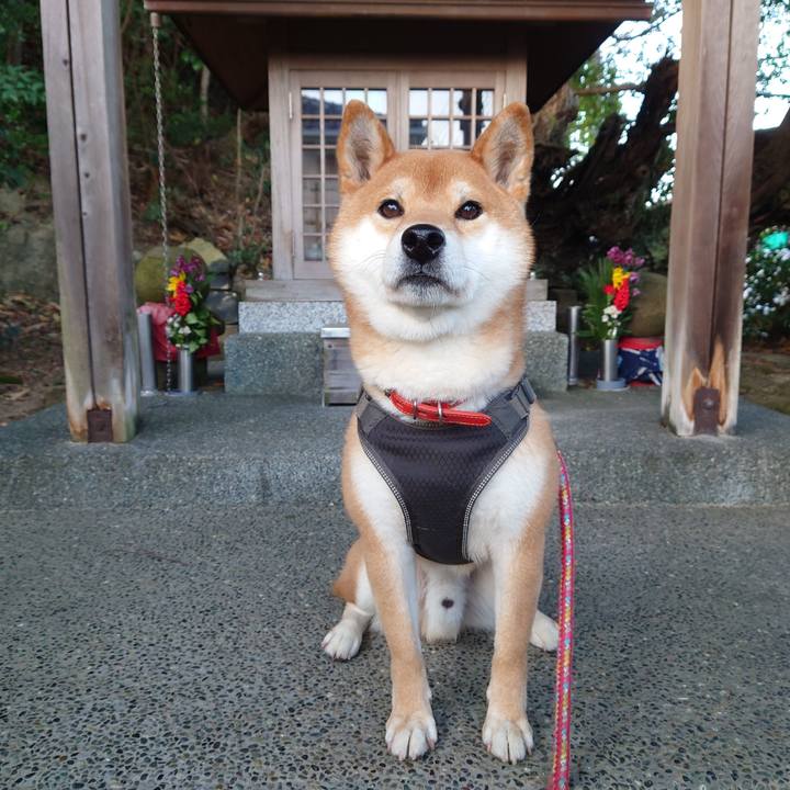 Fb9bff3a 0b33 492c a3c3 ec69a387ebf0 1768693213635