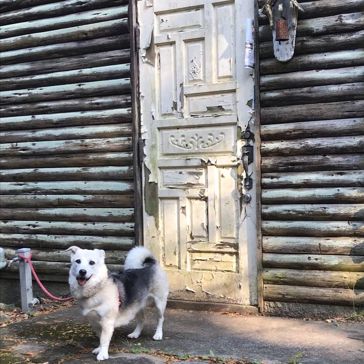 Fb9c1a79 a8bb 401f bd60 5224ac8e63f6 1606652742123