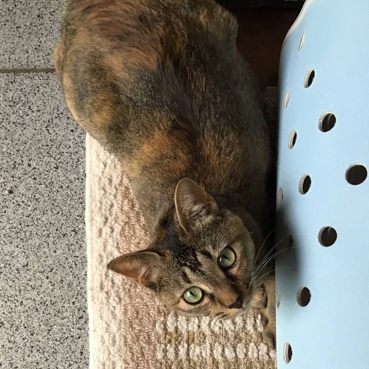 Fb9c47a6 eb9b 4569 9e25 df6f4ce12648 1595316037647