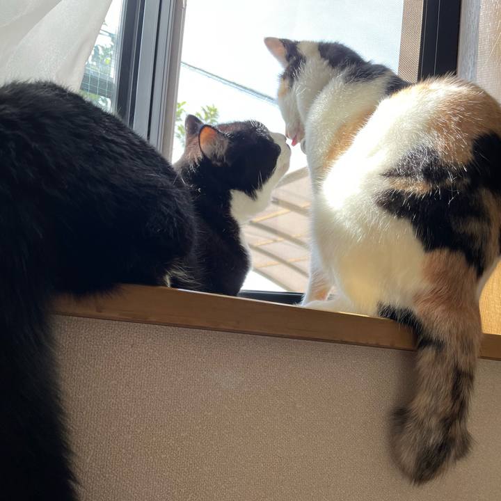 Fb9c59cf 051a 4ff5 b1b0 cdc030a59c78 1693613392475