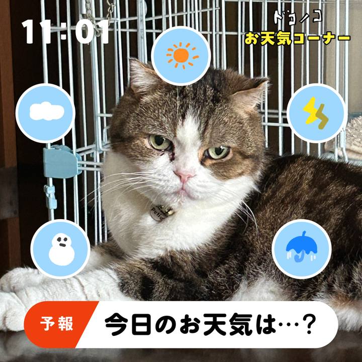 Fb9c611e ce2d 4ba2 a930 5227092decd1 1781815105709
