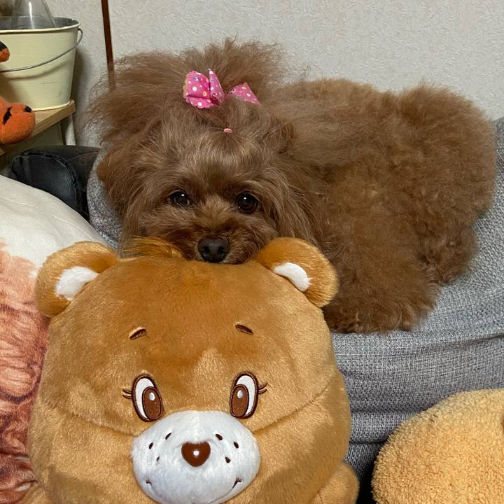 Fb9c7cd5 2334 43a6 8a44 23b96dab6858 1760776029713