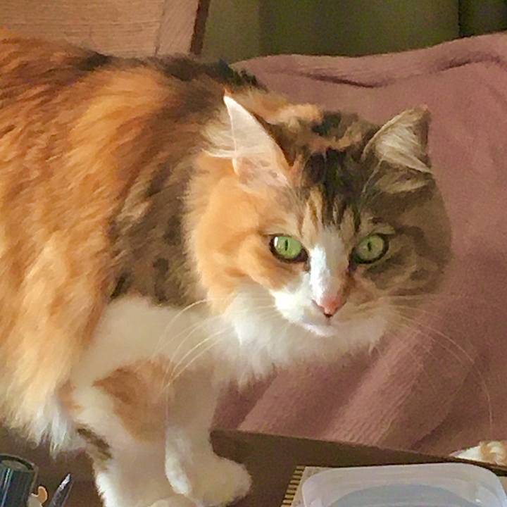 Fb9ccaad 5171 4ccf 8c84 9d6fb4afc681 1581500108745