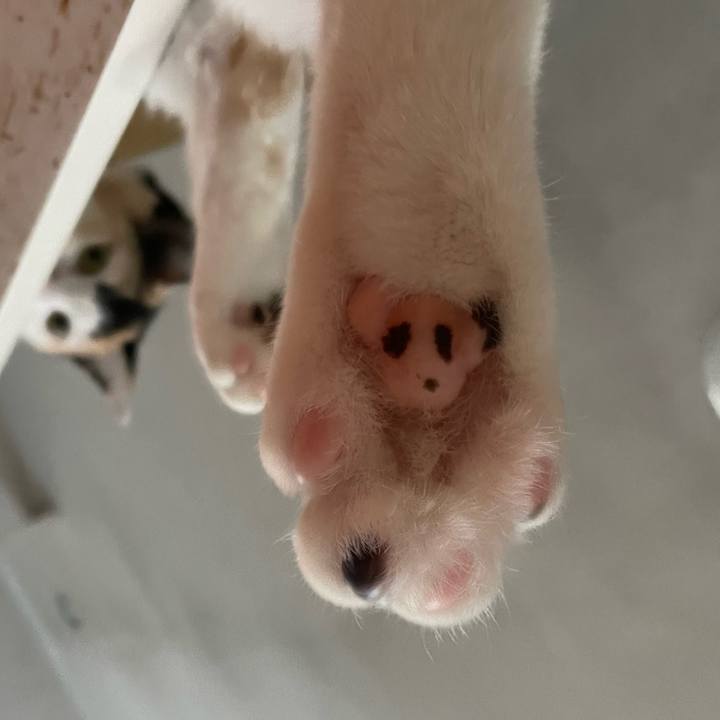 Fb9cedbe 4314 438b 98c7 04c8bb8ba6d6 1673239467906