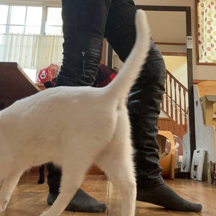 Fb9cf437 5626 48f9 9085 31569facc269 1680992073942