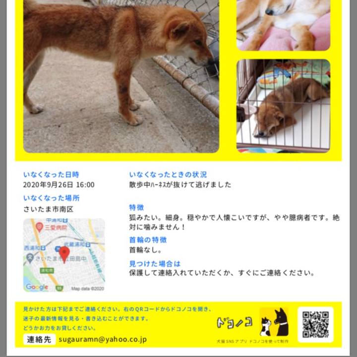 Fb9d414b 1d7a 43b5 a40e 05b526f9b9cd 1601173671281