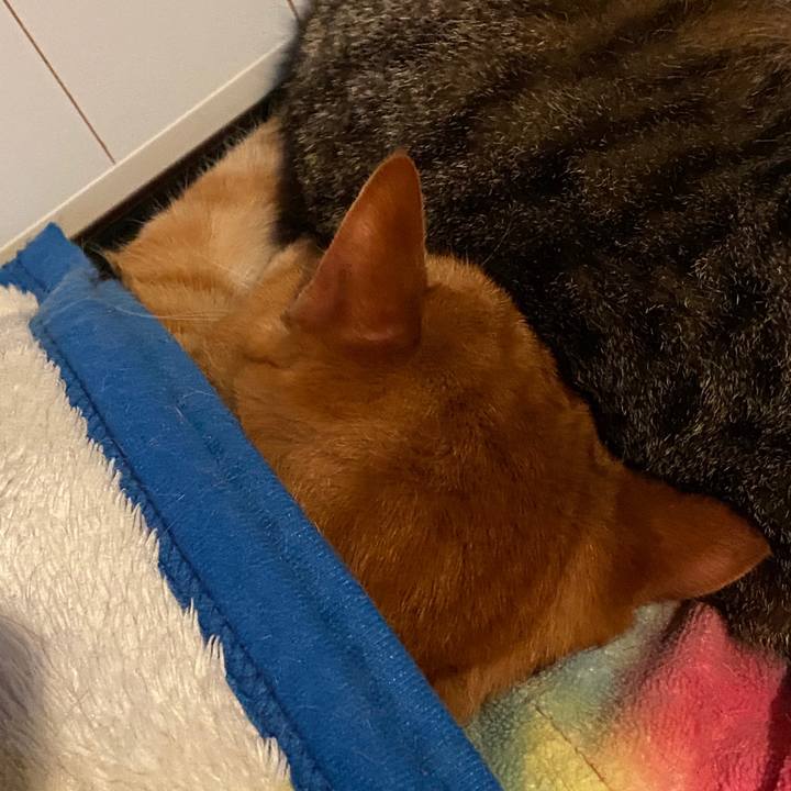 Fb9d75f4 ef51 4654 ad06 fe22679a1fca 1590053986613