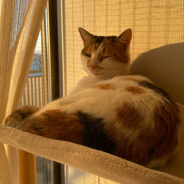 Fb9dd03c 9414 4196 87b6 2c096f6eb947 1638617078262