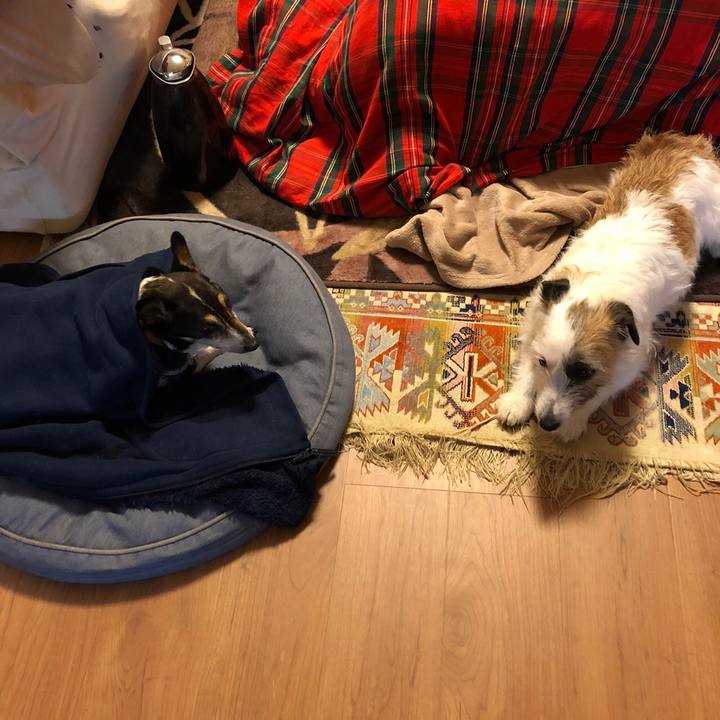 Fb9df9c2 608b 47a7 a126 f4274778701d 1587296958124