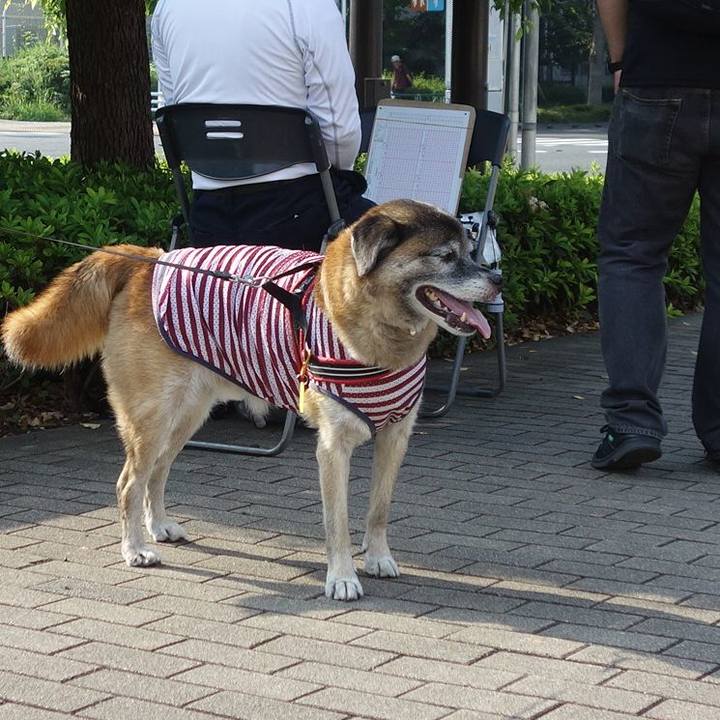 Fb9e2965 81e5 423a afd1 471b2dcc4486 1533430229481