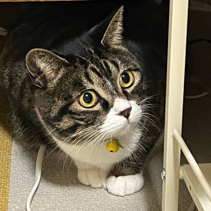 Fb9e33f6 16e5 4b78 b036 58ce0b5b9905 1763594638843