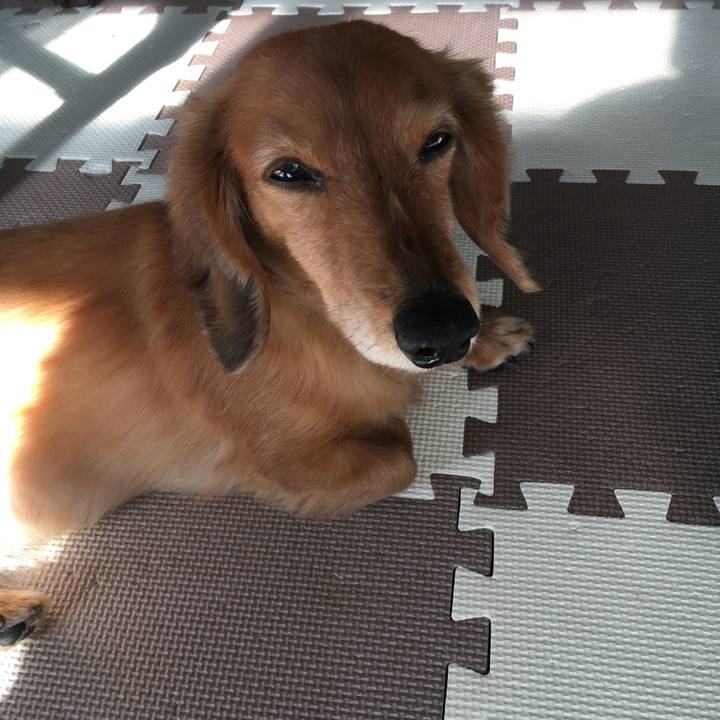 Fb9e34a7 41c4 46cf 9433 0d37a93ed1e3 1581596504570