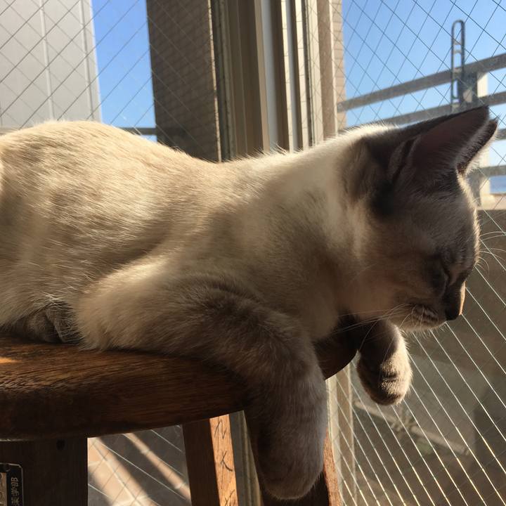 Fb9e5293 8e80 41c7 ae3d da561d78da61 1542675733119